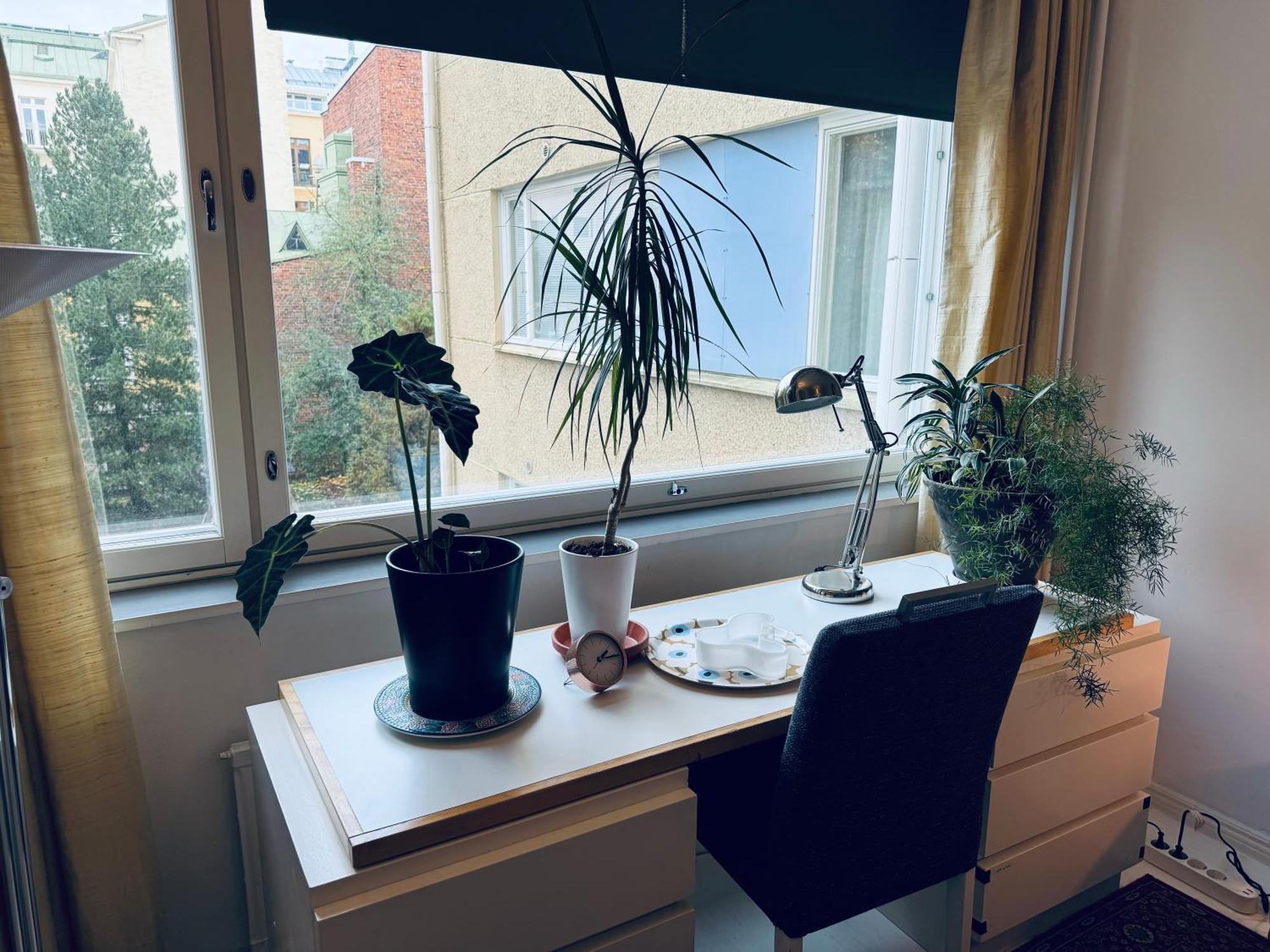 Lovely Apartment, Vuorimiehenkatu 31 هلسنكي المظهر الخارجي الصورة