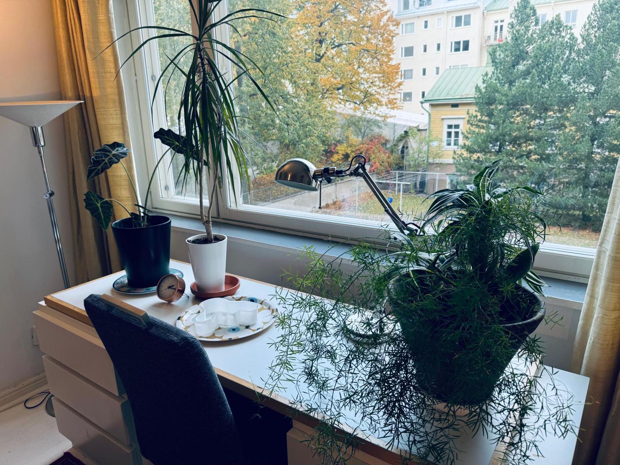 Lovely Apartment, Vuorimiehenkatu 31 هلسنكي المظهر الخارجي الصورة